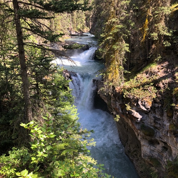 Meet your Posher, Nicolette - Picture 1 of 1